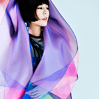 2009 ̿12